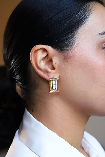 Brillo Premium Series Special Design Zircon Earrings