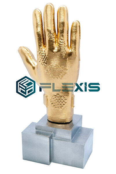FLEXIS WE MAKE IT POSSIBLE FOR YOU İSME ÖZEL ALTIN ELDİVEN KALECİ ÖDÜLÜ UEFA ...