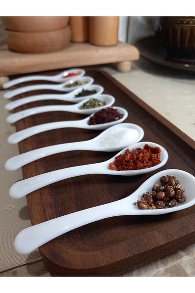 shop Seasoning Spoon 12Pcs