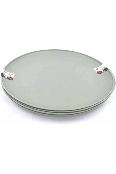 ORCHID 10.5” Plastic Plates Set of 4