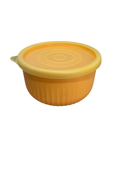EVLE Vipahmet 0.50 Lt Yellow Vacuum Storage Container
