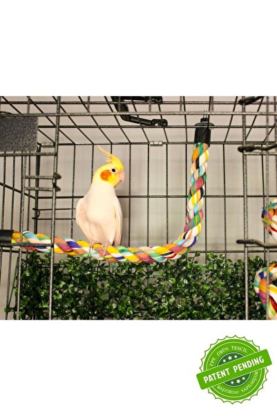 EBAMBU YENİ NESİL Doğal Tünek Papağan İçin Şekil Alan 2 ADET TÜNEK SET 65 ve 80 cm. BOYUNDA 2,5-3 cm EN