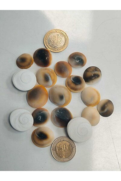 abena ΜΕΓΑΛΟ ΜΕΓΕΘΟΣ Πέτρα Καλαμποκιού 20 Τεμάχια