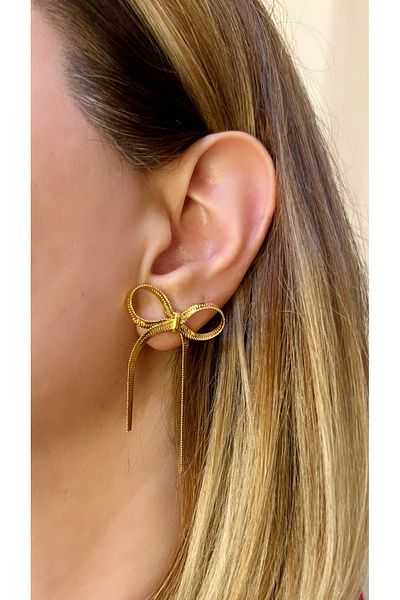 Store Steel Ribbon Earrings