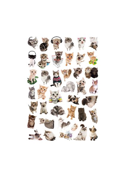 Ororabutik Σετ αυτοκόλλητων 41 τεμαχίων Cute Cats - Σετ αυτοκόλλητων Scrapbook Bullet Journal
