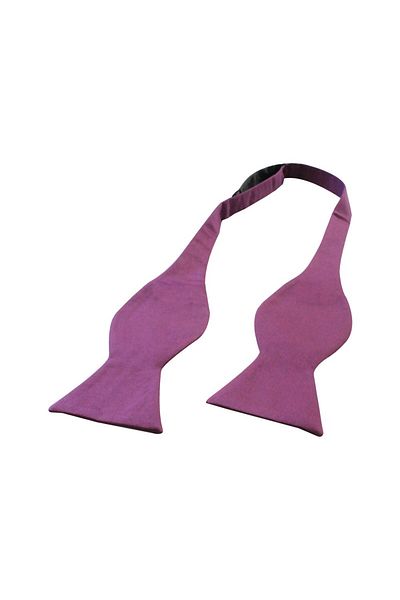 COOLMENCLUB Purple Light Bow Tie