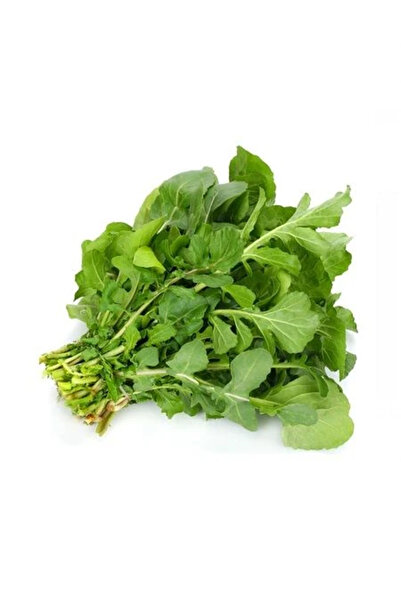 fidanistanbul Toros İri Yaprak Roka Tohumu Paket 25 gram