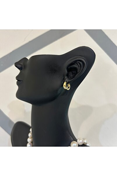 JEICON ATELIER Gold Renk Kalın Parlak Küçük Boy Halka Küpe