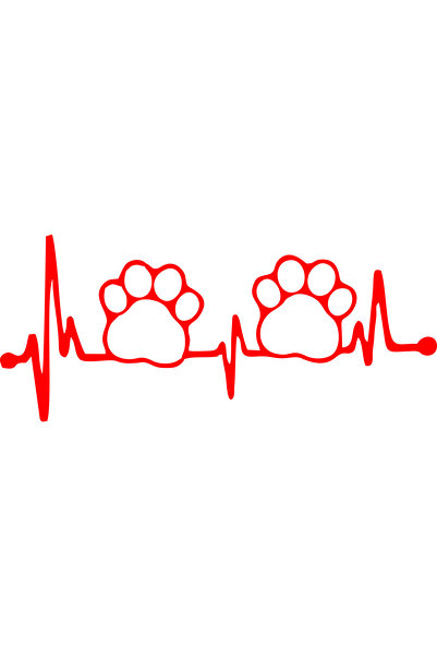Birim Matbaa Pati Pulse Auto Sticker(15X34 cm)