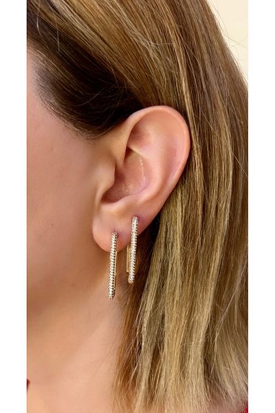 Store Steel earrings