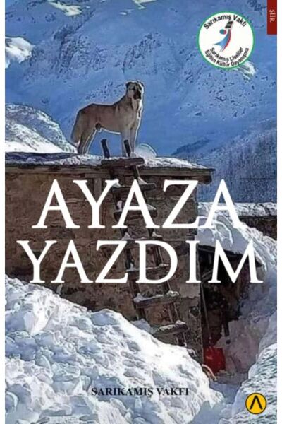 TREND I Wrote to Ayaza