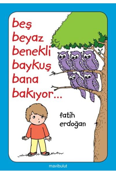 Türk Dil Kurumu Yayınları Beş Beyaz Benekli Baykuş Bana Bakıyor Fatih Erdoğan