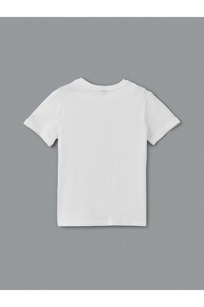 LC Waikiki Crew Neck Boy's T-Shirt