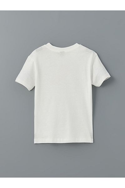 LC Waikiki Lcw Eco Crew Neck Boy T-Shirt
