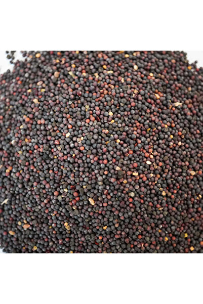 NATURELDOGA Tane Siyah (KARA) Hardal Tohumu 200 gr