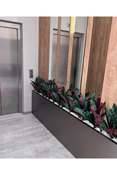 Dekorsende نبات كالاتيا صناعي 45 سم