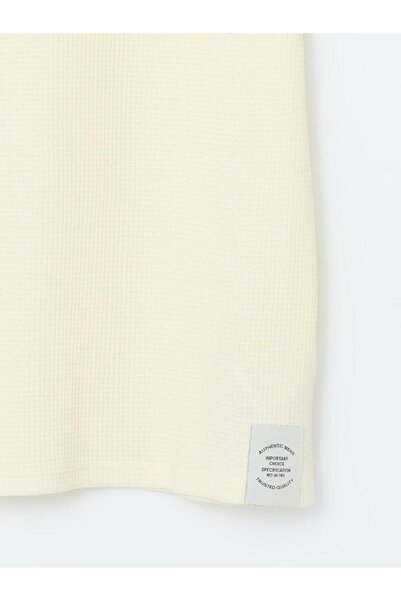 LC Waikiki Ανδρικό μπλουζάκι με υφή LCW Kids Crew Neck