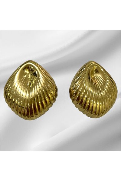 Store Steel Stylish Women Earrings