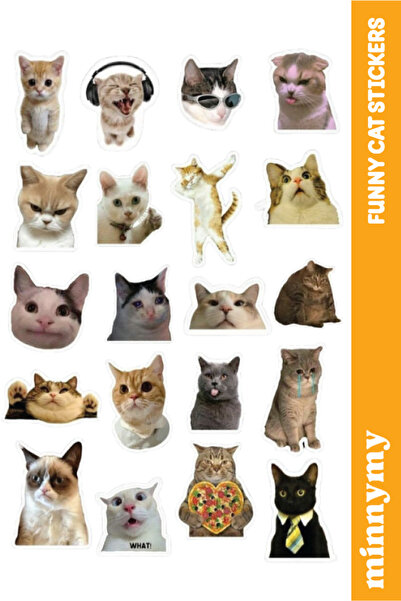 Minnymy Komik Kedi, Kediler, Funny Sticker, Çıkartma, Ajanda, Günlük, Planlay...
