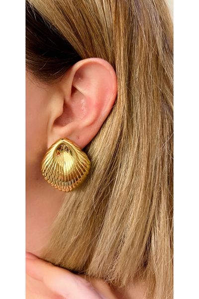 Store Steel Stylish Women Earrings