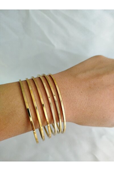 stainless steell 316l Paslanmaz Çelik Ajda Ariva Bilezik (65 MM)