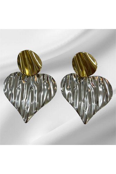 Store Steel Women's Stylish Earrings