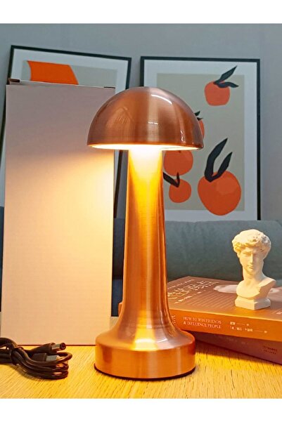 HANGAST Hl-009b Dekoratif Metal Bakır Mantar Kablosuz Masa Lambası Ledli 5v 3...