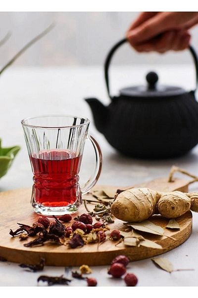 LAV Venus Tea Cup with Handle - 6 Tea Cups with Handle