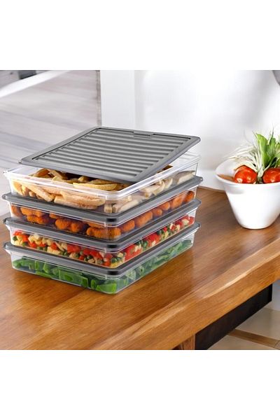 EsmoHome Freshbox Storage Container Suitable for Microwave and Deep Freezer Set of 4 Gray