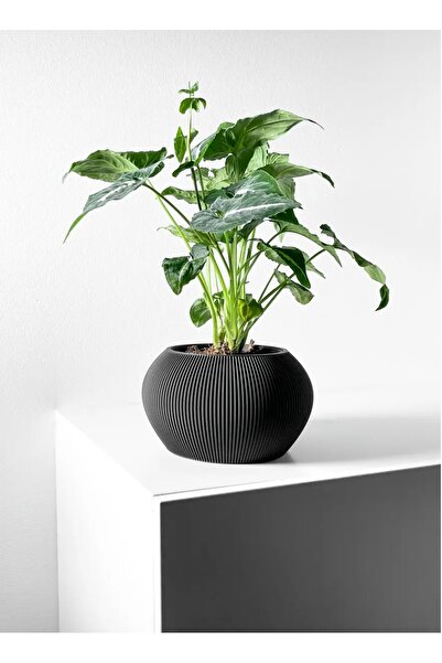 3D Brothers وعاء زراعة ميلفي مع صينية تصريف وحامل