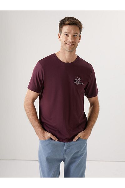 LC Waikiki Crew Neck Printed Men's T-Shirt