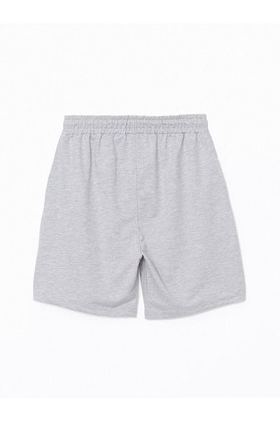 LC Waikiki Ανδρικό σορτς XSIDE Standard Fit