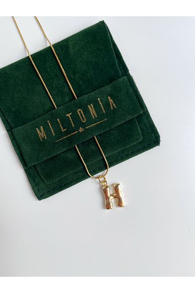 Miltonia Letter H Steel Necklace