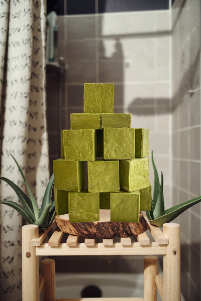 aktarloji 10 قوالب صابون الصبار طبيعي 100% صناعة يدوية