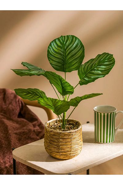 LC Waikiki LCW HOME Μικτό Διακοσμητικό Τεχνητό Λουλούδι 36 Εκ. T T