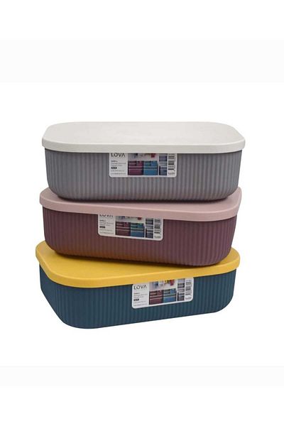 Lova Shell Storage Box with Lid