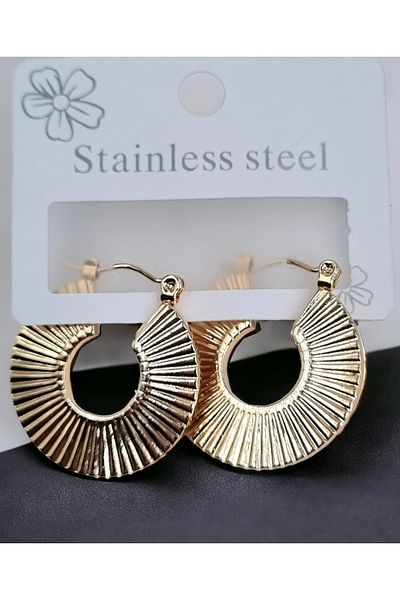 shop Engraved Steel Hook Earrings 316L