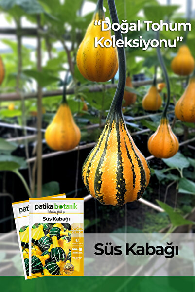 Patika Botanik 10 Adet Süs Bitki Kabak Çiçek Tohumu