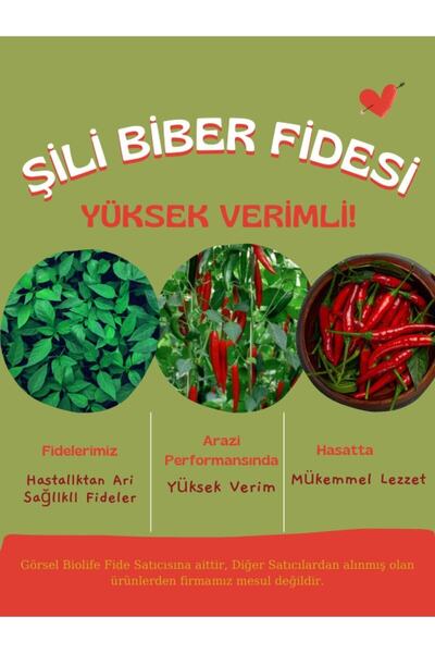 Gardenbox Şili Biber Fidesi Kırmızı Yerli Tohum 10 Adet, Mor Cin Biber Fidesi...