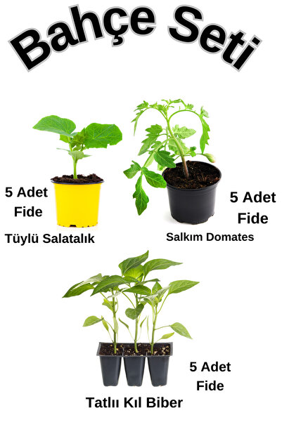Flora Vadi Özel Tür Bahçe Seti 5 Adet Salatalık+ 5 Adet Salkım Domates+5 Adet...