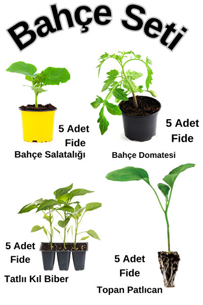 Nura Botanik Bahçe Seti 5'Er Adet Salatalık+ Salkım Domates+ Acı Kıl Biber+To...
