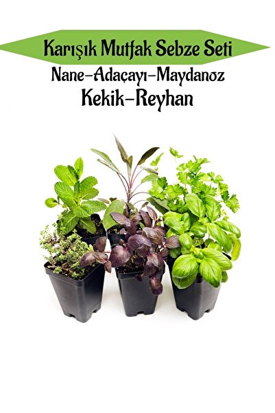 Gardenbox Karışık Mutfak Sebze Seti Nane+Adaçayı+Maydanoz+Kekik+Reyhan Toplam...