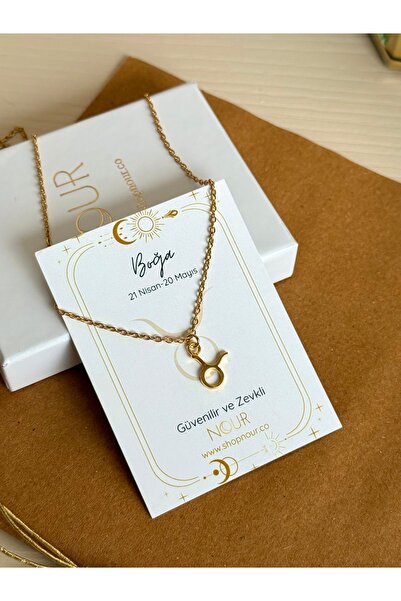 Nour Co Boğa Burcu Özel Kartlı Çelik Charm Kolye