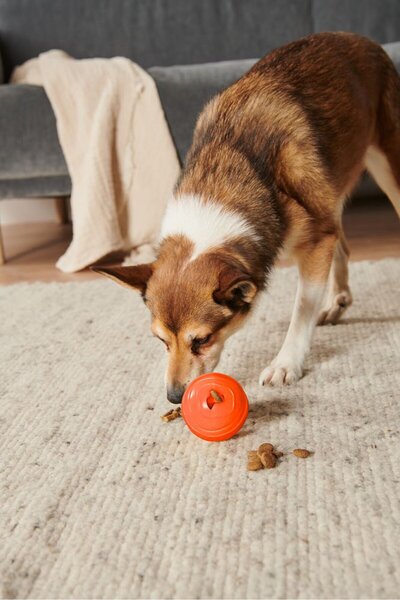Tchibo Dog Toy Snack Ball, Orange