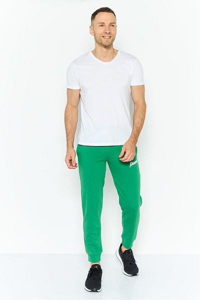 Puma Men Sportswear Fit Outdoor Sweatpants, Green