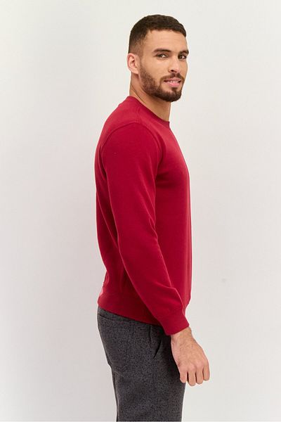 Champion Men Sportswear Fit Outdoor Sweatshirts, Maroon