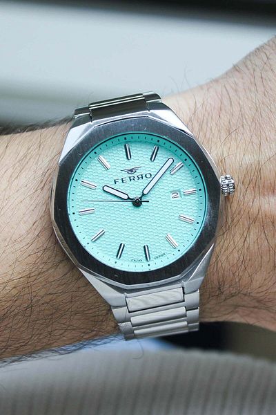 FERRO F11535A15 Men's Watch with Steel Band