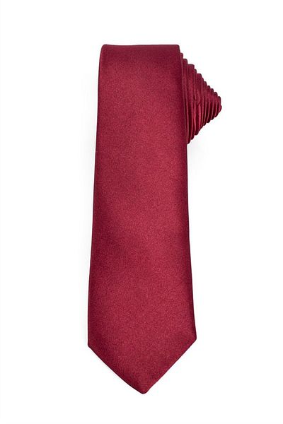 Tudors Plain Slim Men's Tie