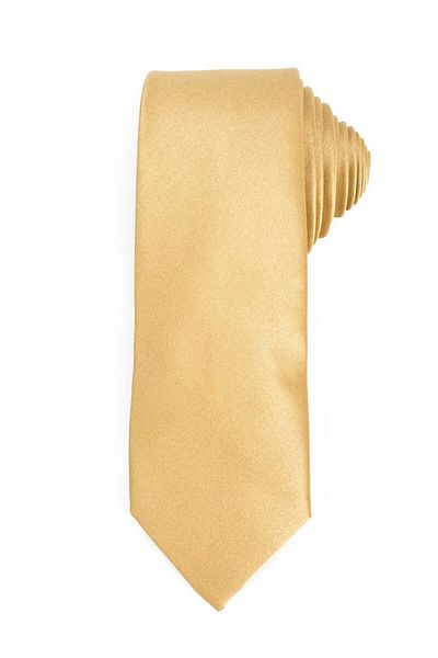 Tudors Plain Slim Men's Tie
