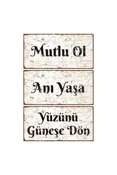 Hayg Equipment Mutlu Ol - Anı Yaşa - Yüzünü Güneşe Dön Dekoratif Alüminyum Ta...